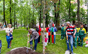 Los empleados de la empresa Power Machines plantaron “el árbol de la vida” en el jardín Mijaylovskiy durante el festival “Jardines imperiales de Rusia”