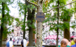 Сотрудники «Силовых машин» посадили «Древо жизни» в Михайловском саду в рамках фестиваля «Императорские сады России» 
